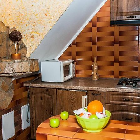 Private Odessa Apartment Kryzhanivka Extérieur photo